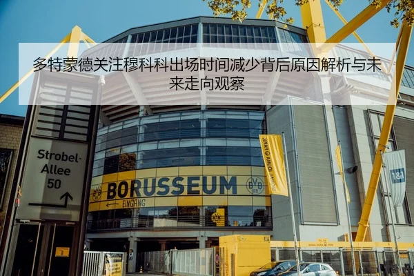 多特蒙德关注穆科科出场时间减少背后原因解析与未来走向观察
