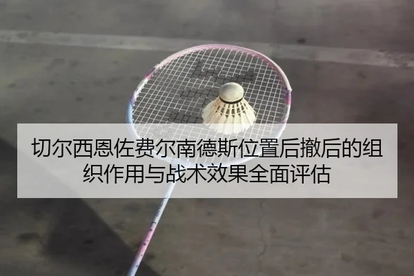 切尔西恩佐费尔南德斯位置后撤后的组织作用与战术效果全面评估