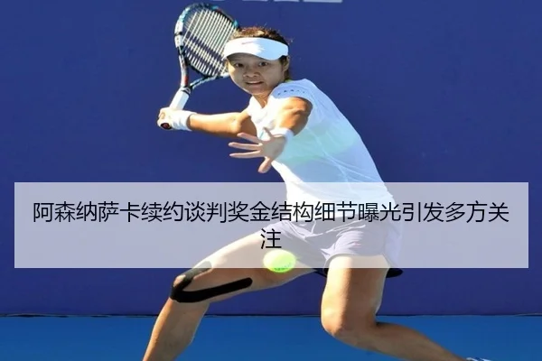 a-sen-na-sa-ka-xu-yue-tan-pan-jiang-jin-jie-gou-xi-jie-bao-guang-yin-fa-duo-fang-guan-zhu-2-944.jpg