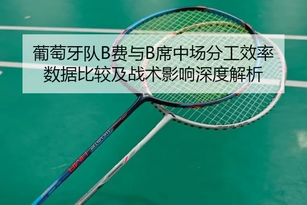 葡萄牙队B费与B席中场分工效率数据比较及战术影响深度解析